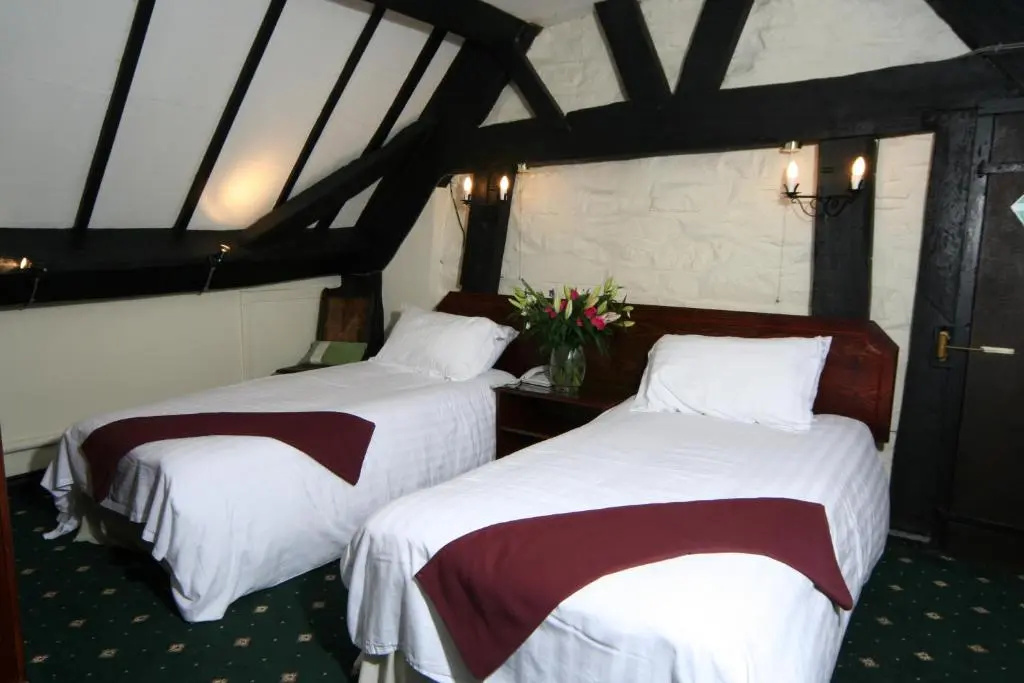 Maesmawr Hall Hotel - Chambres