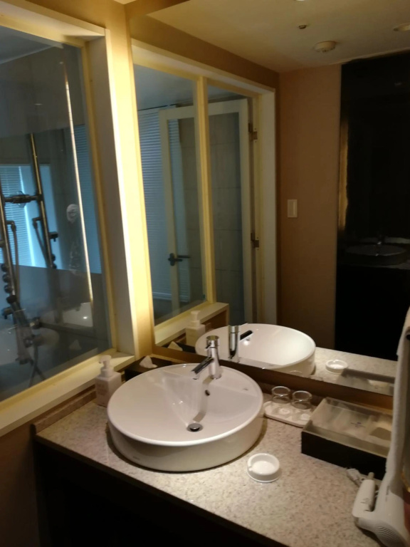 Hotel Metropolitan Akita - Général