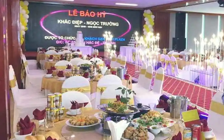 Vinh Plaza Hotel - Général