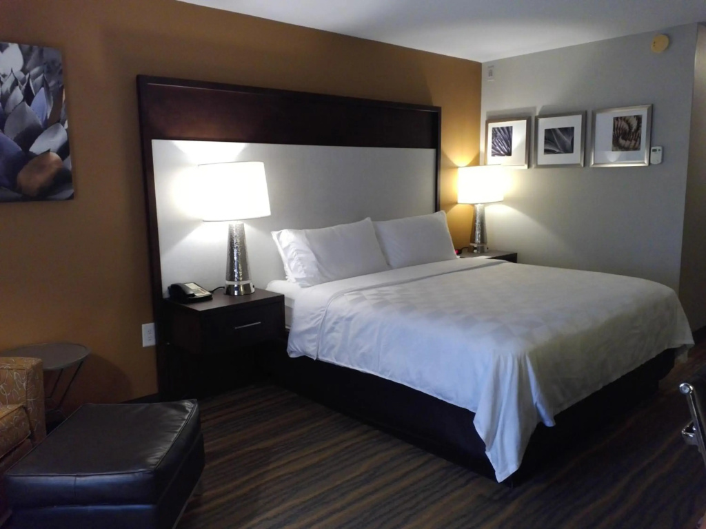 Holiday Inn & Suites Albuquerque-North I-25 by IHG - фото 7