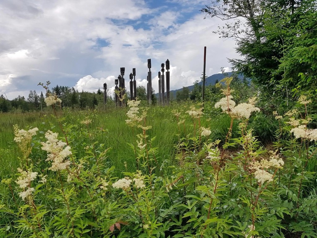 Wohlfühlappartement ALPINA