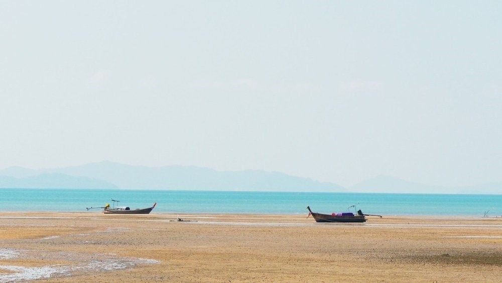 Beach & Waterfront