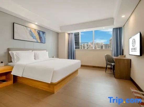 Standard Double room with city view (full double bed)