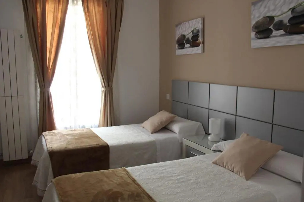 Standard Double room (twin beds)
