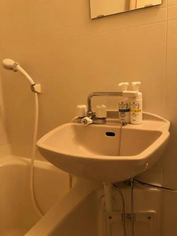 Hotel Rex Tachikawa - Chambres