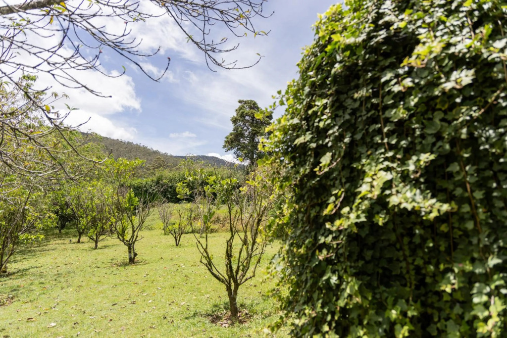 Ferncliff Bungalow - фото 16