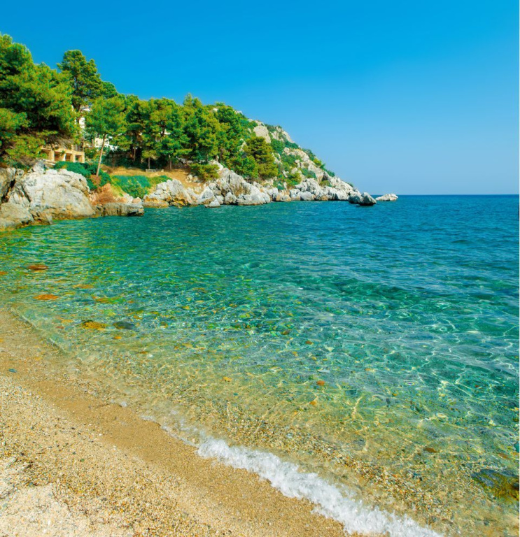 Beach & Waterfront