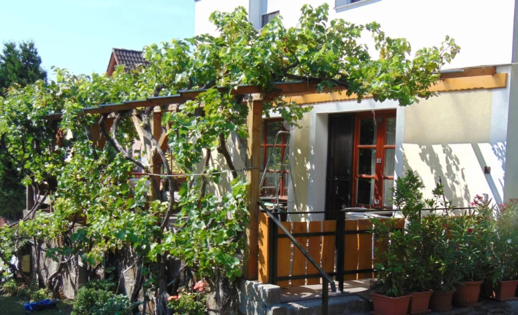 Andrew Guest House Tihany - фото 13