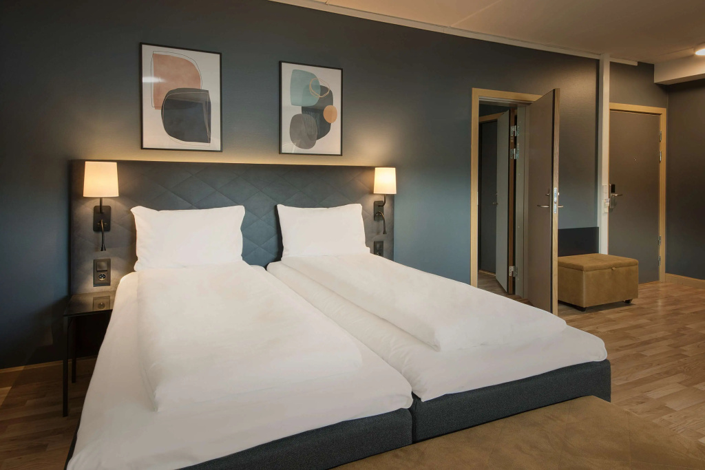 Superior Double room (twin beds)