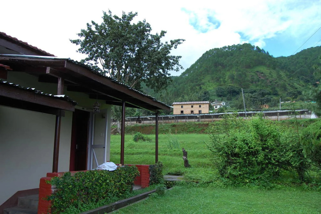 Balcony & Terrace