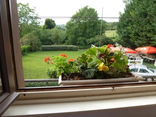 Voir la photo 2 — Auberge du Faisan Doré