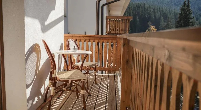Hohe Rinne Paltinis Hotel & Spa - Général