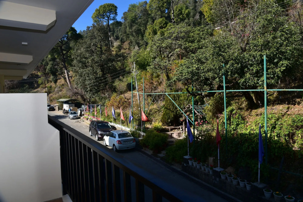 Balcony & Terrace