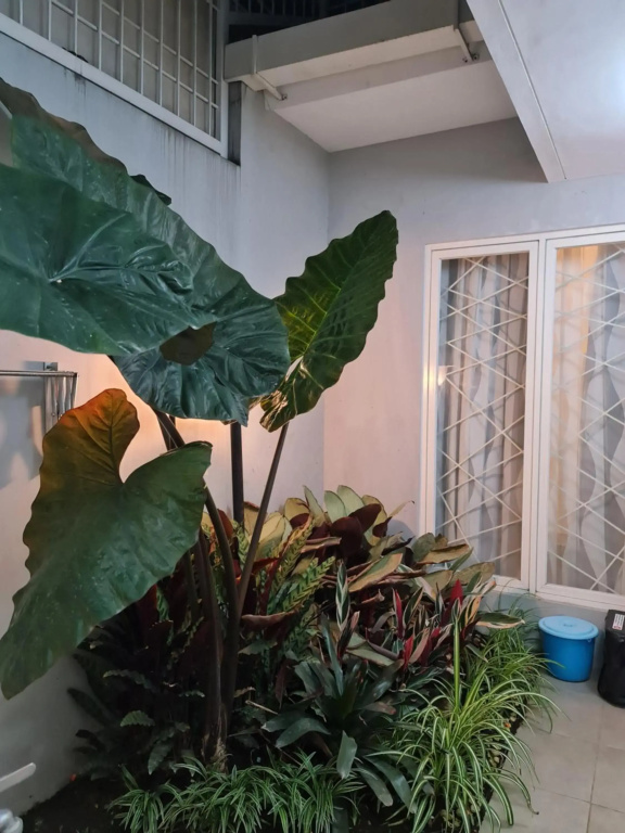 Hotel photo 46