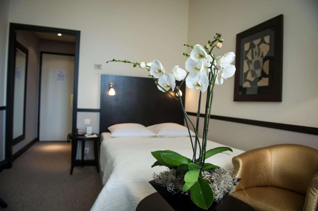 Smart Double room (full double bed)