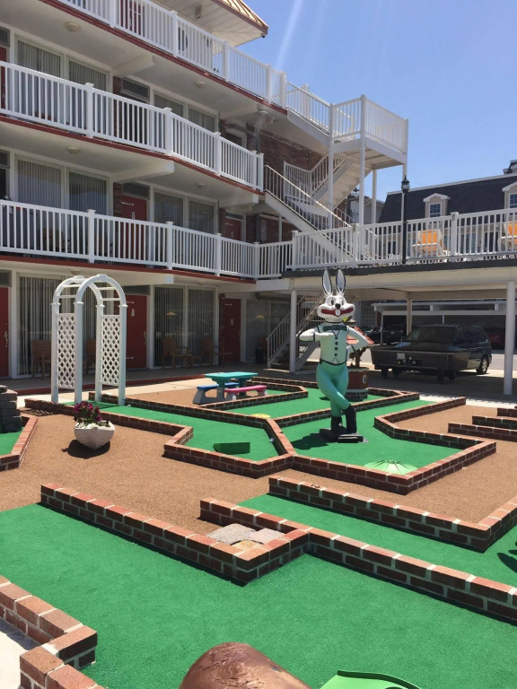 Hotel photo 11