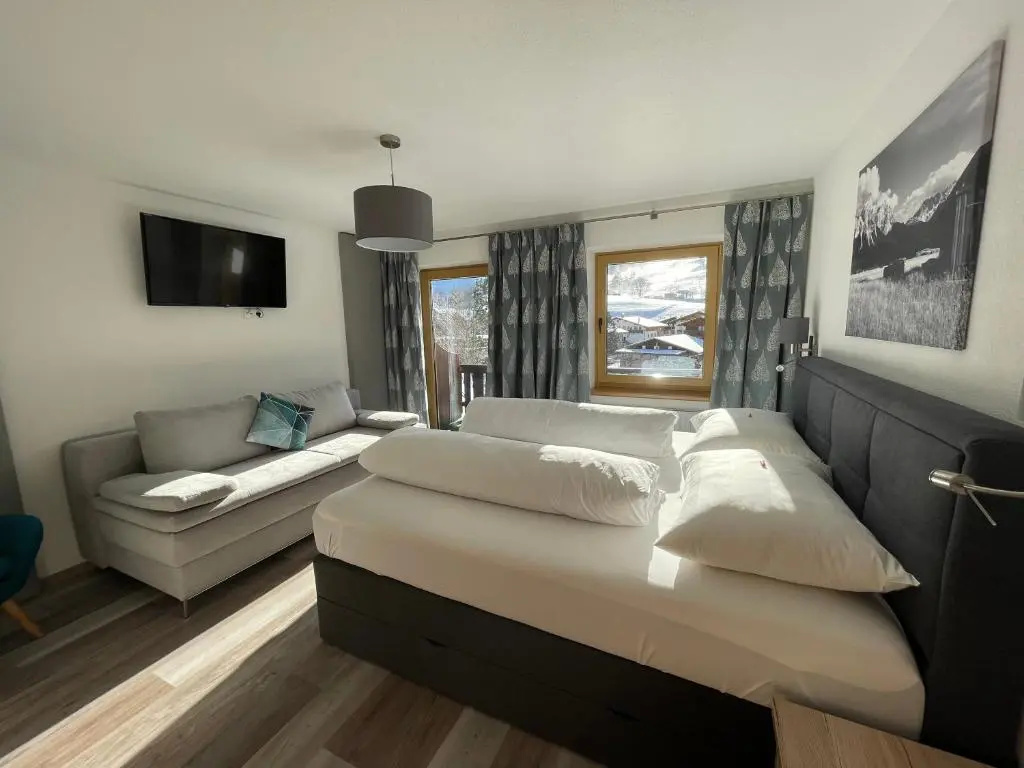Standard Double room with mountain view (full double bed)