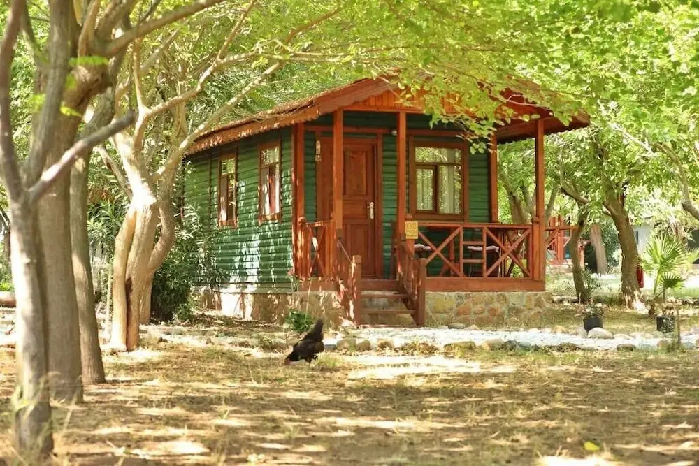 Eden Bungalows and Beach