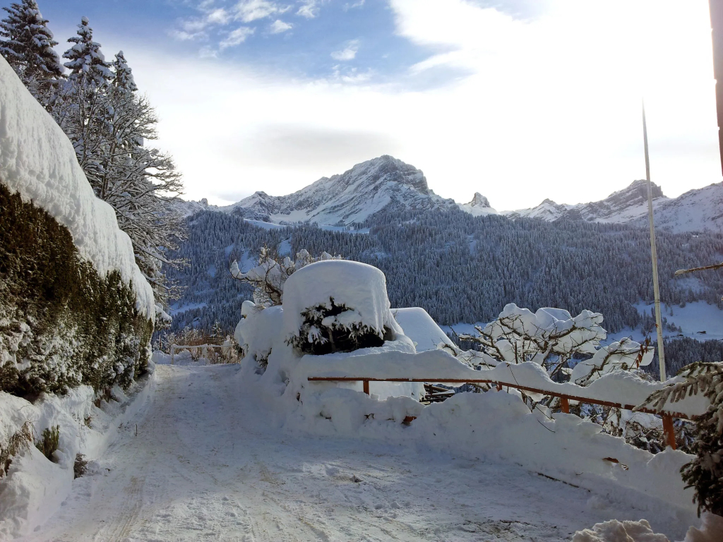 Chalet Zan-Fleuron - фото 2