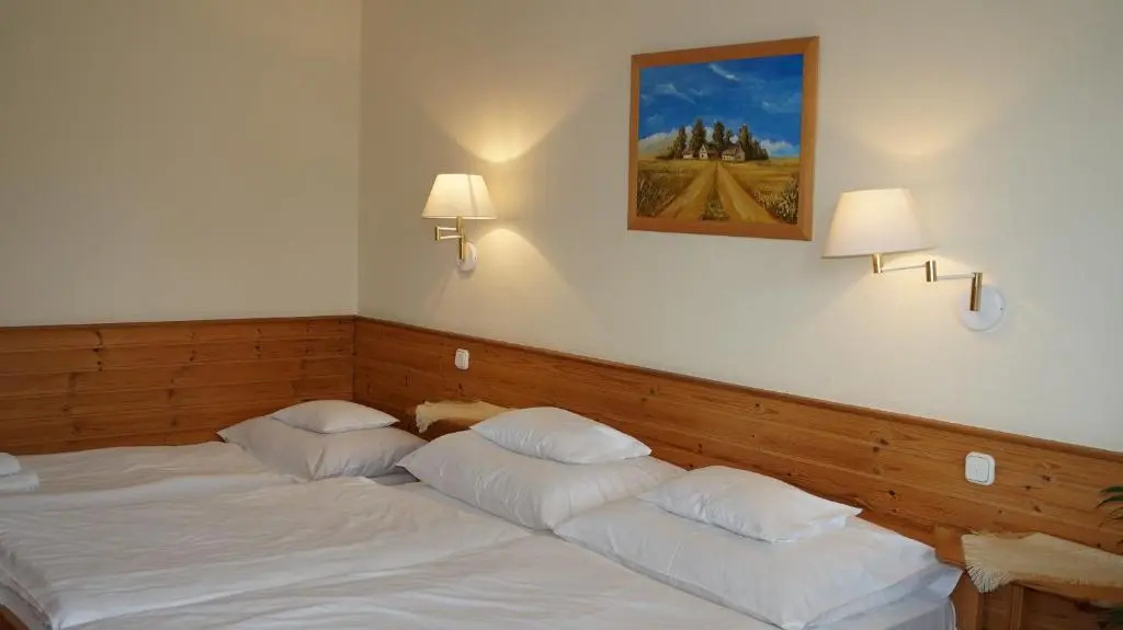 Hajdú Kastély Hotel - Chambres
