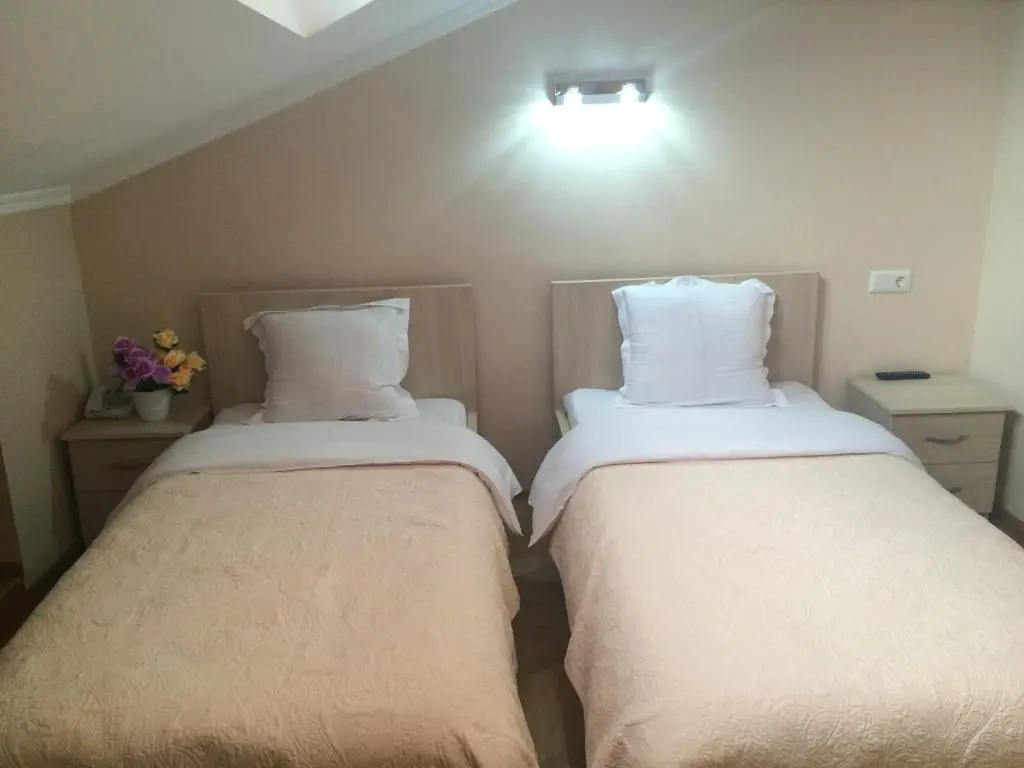Standard Double room (twin beds)