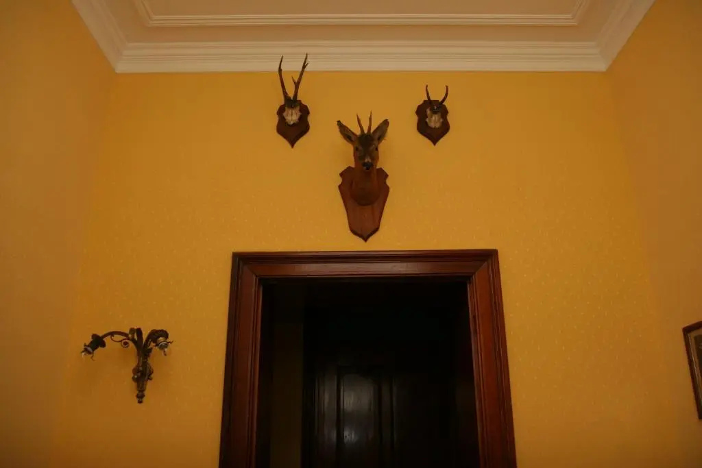 New-Castle - Chambres