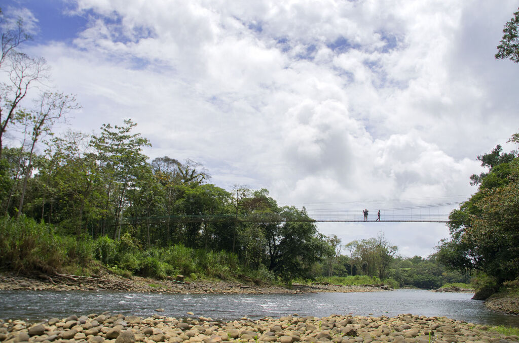 Selva Verde Lodge picture