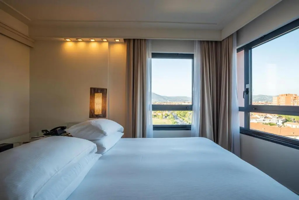 Deluxe Double room with city view (full double bed)