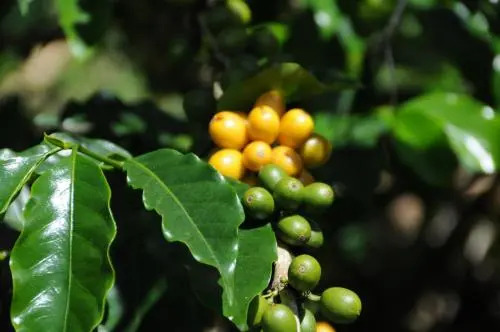 Hacienda Primavera Wilderness Ecolodge