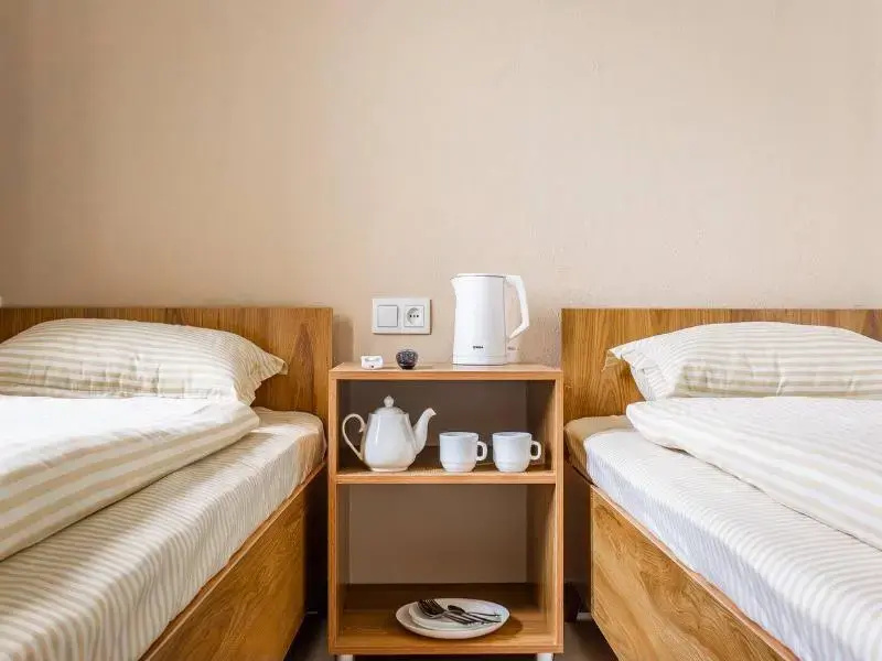 Deluxe Double room (twin beds)