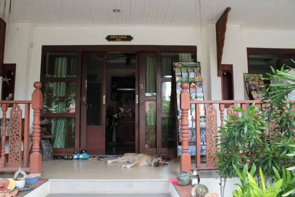 Hotel photo 12