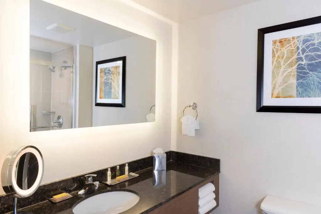 Doubletree by Hilton Pleasant Prairie Kenosha - Chambres