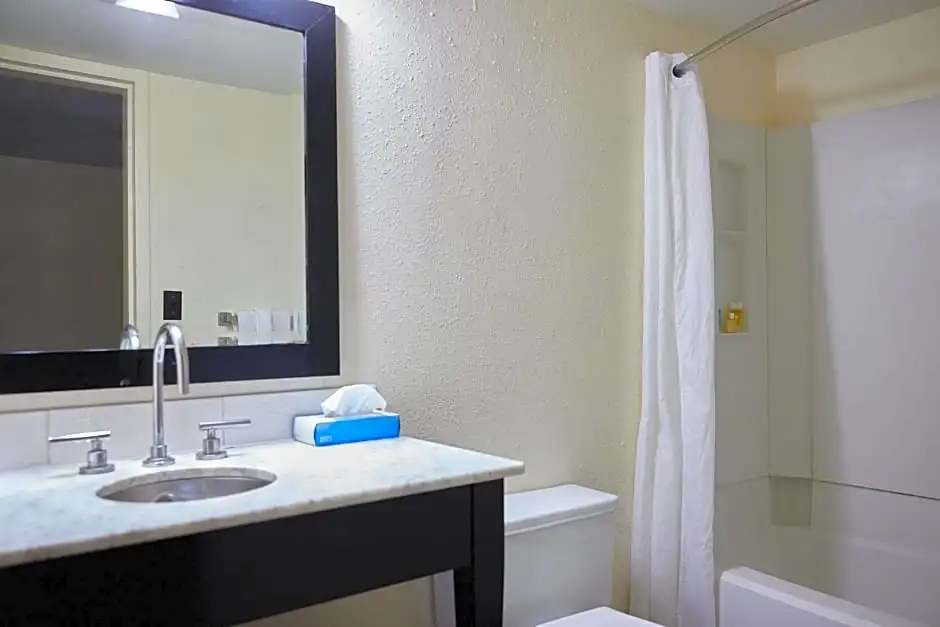 Deluxe Double room (full double bed)