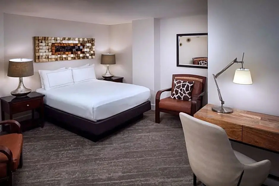 1 Bedroom Presidential Double room (full double bed)