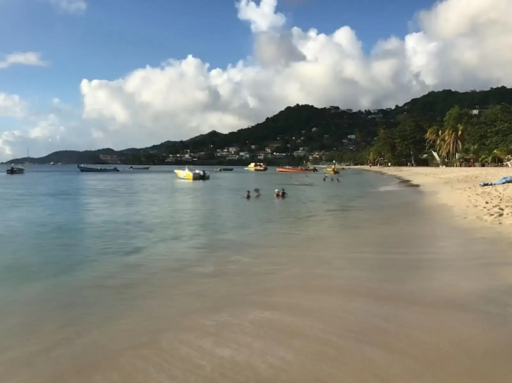 Allamanda Beach Hotel - Général