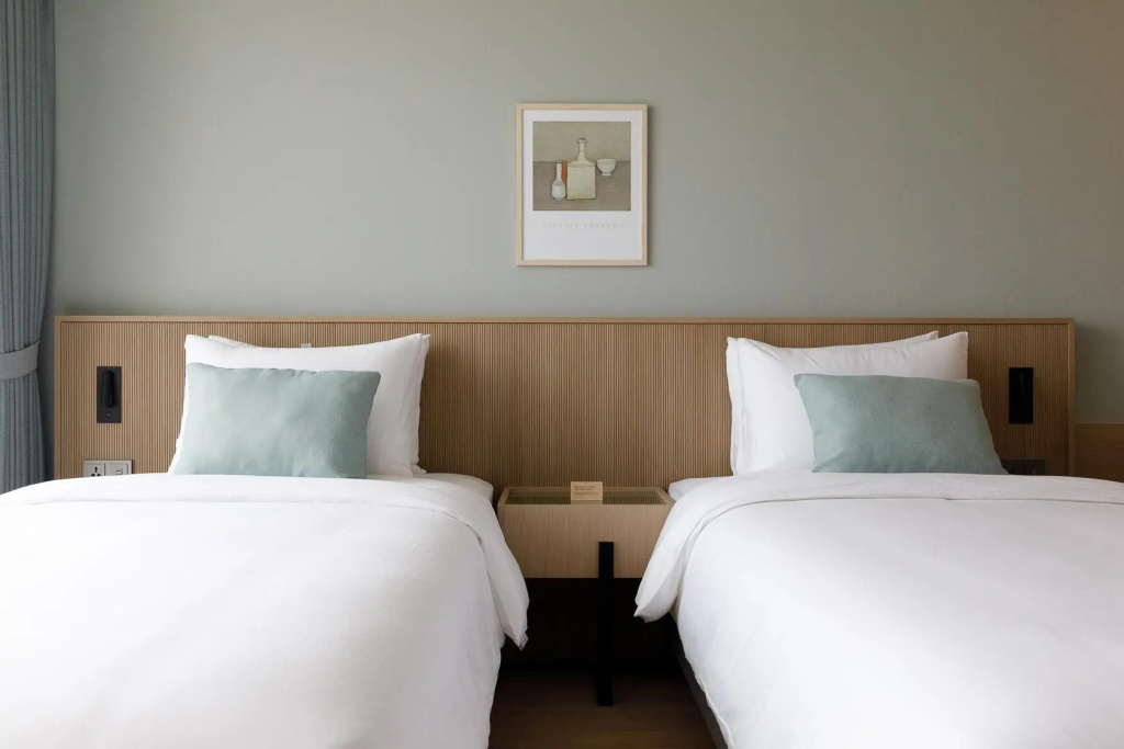 Standard Double room (twin beds)
