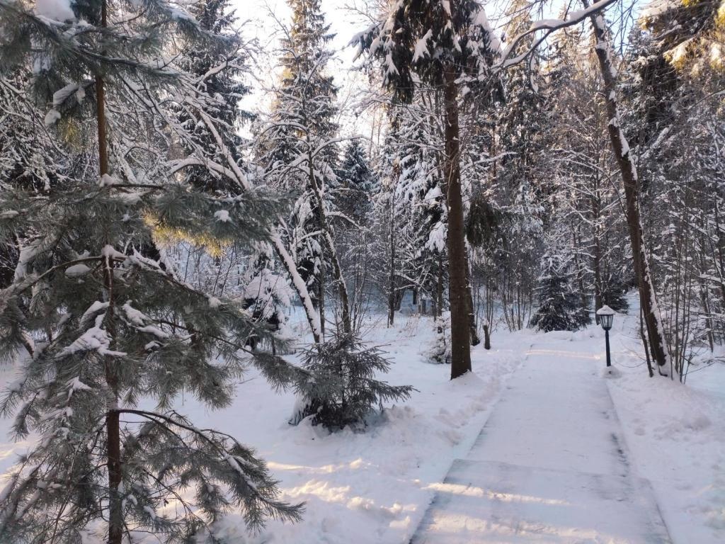Отель лада holiday