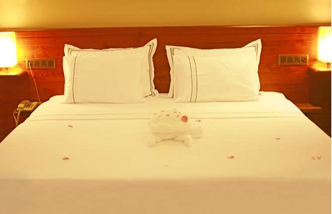 Arena Hotel