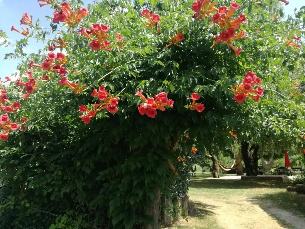 le gite des 3 saules