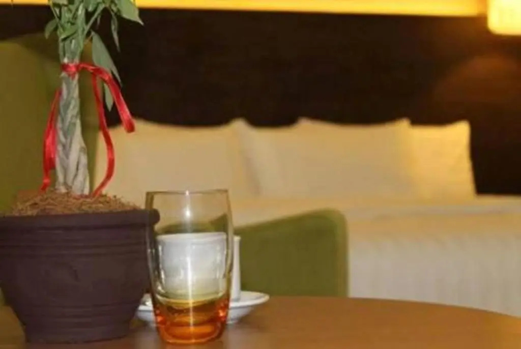 Top Star Hotel - Chambres