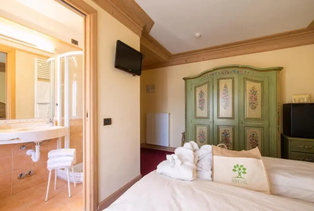 Standard Double room (full double bed)