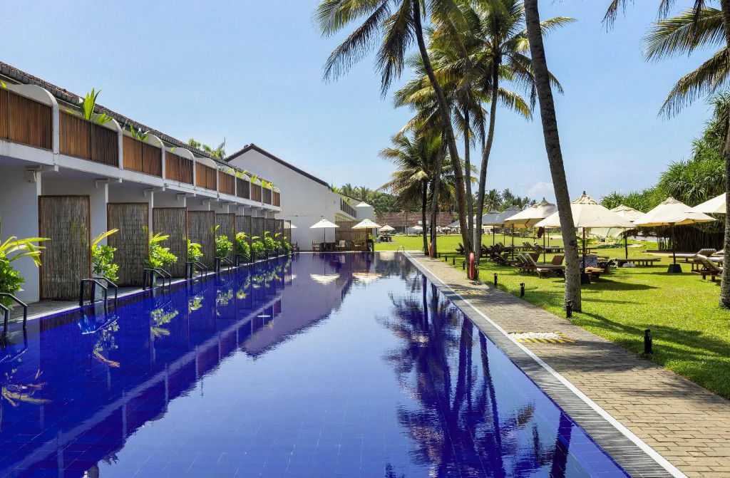 Ekho Surf - фото 35