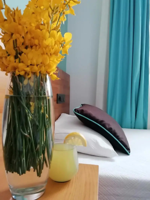 Standard Single room (single bed)