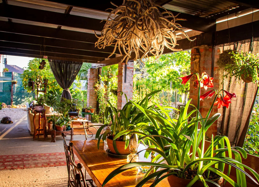 Ebonymoon Guest House and Studio