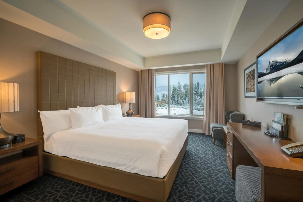 The Malcolm Hotel - фото 31