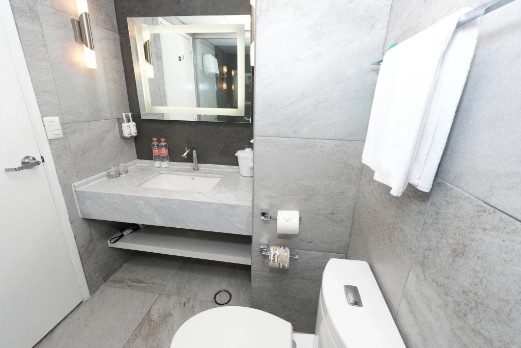 Holiday Inn Queretaro-Centro Historico by IHG - Général