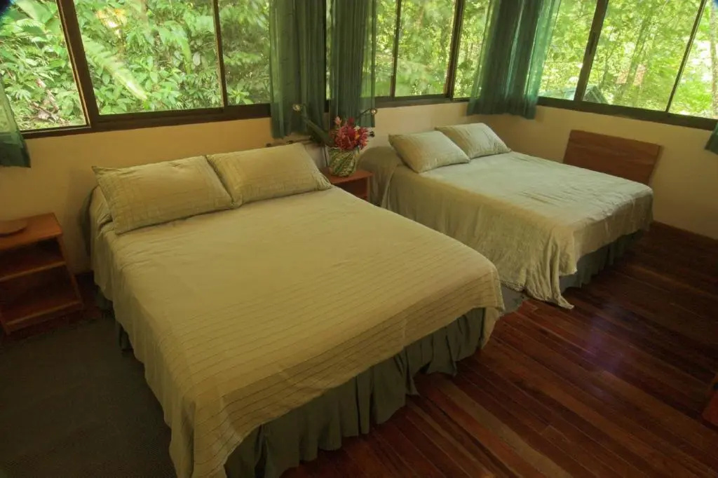 Selva Verde Lodge - Chambres