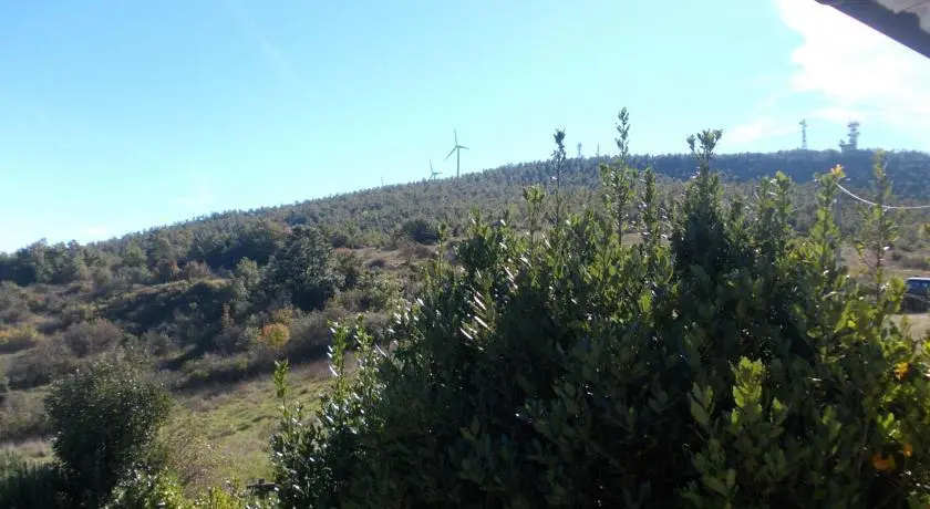 Podere la Vitalba