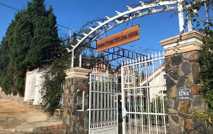 Pine Tree House Da Lat