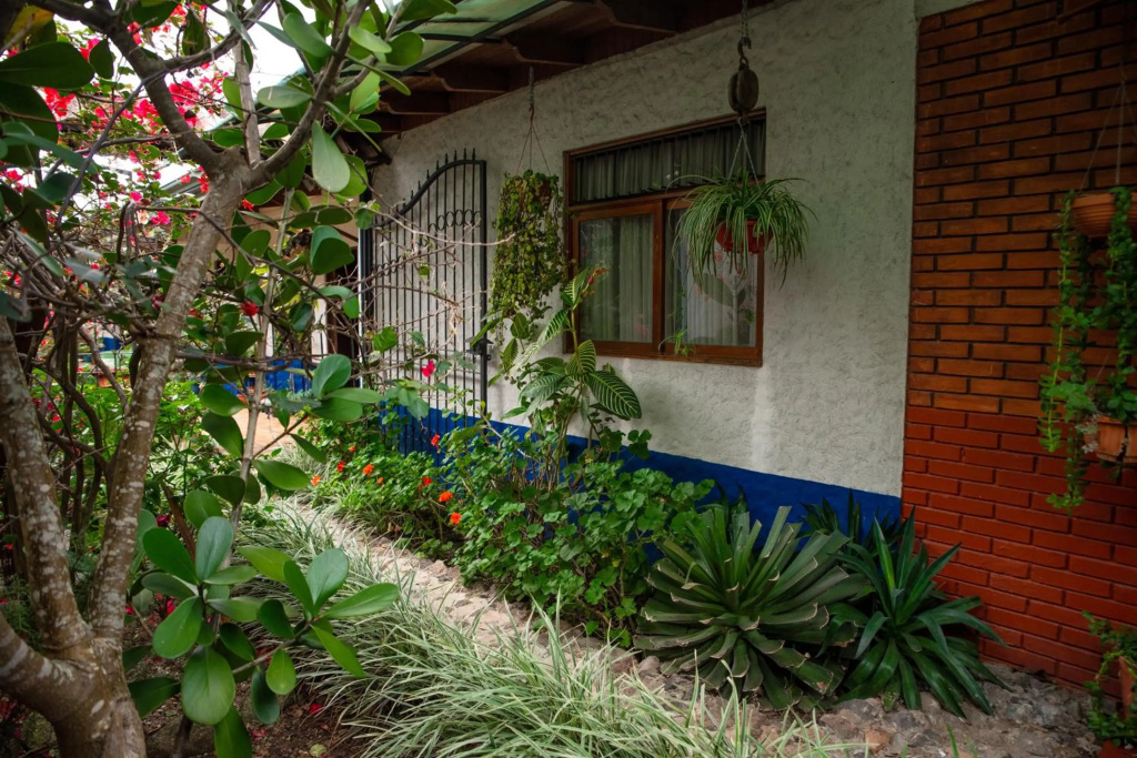 La Casa de Mamá Coyita